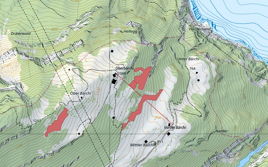 Landeskarte swisstopo mit dem Schutzperimeter von Bärchi (Trockenwiese)