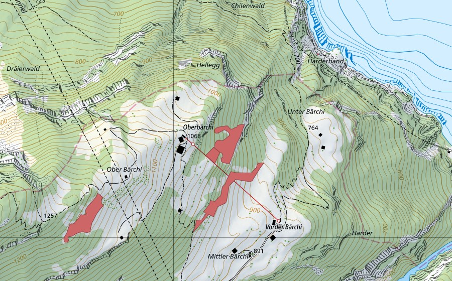Carte nationale swisstopo avec le périmètre protégé de Bärchi (Prairie sèche)