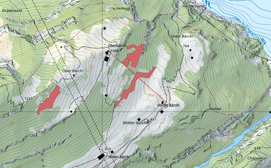Landeskarte swisstopo mit dem Schutzperimeter von Bärchi (Trockenwiese)