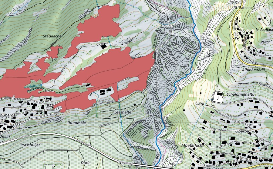 swisstopo national map showing the protected perimeter of Bärde (Dry meadow)