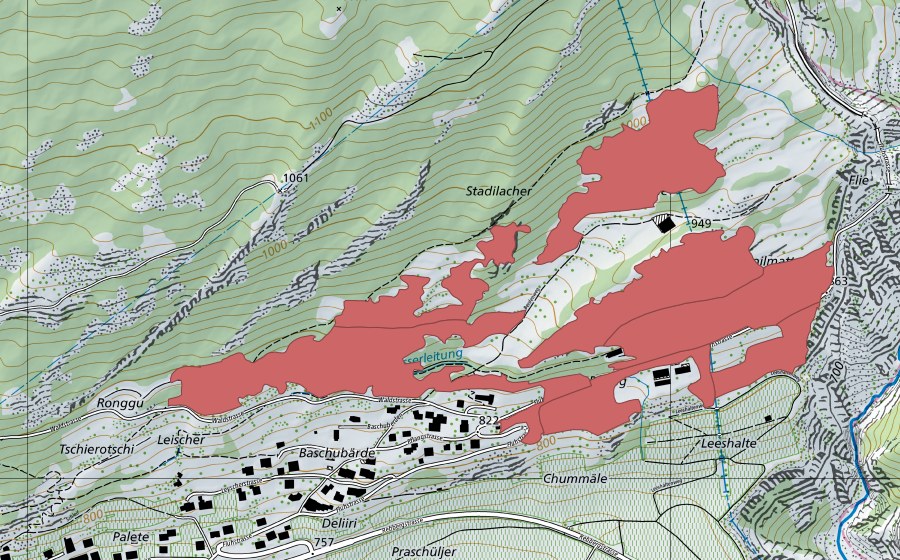 swisstopo national map showing the protected perimeter of Bärde (Dry meadow)