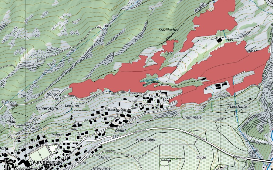 swisstopo national map showing the protected perimeter of Bärde (Dry meadow)