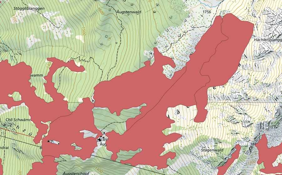 swisstopo national map showing the protected perimeter of Bärenboden (Dry meadow)