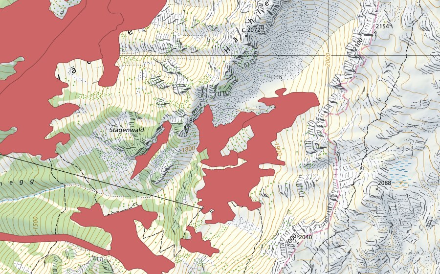 Carte nationale swisstopo avec le périmètre protégé de Bärenboden (Prairie sèche)