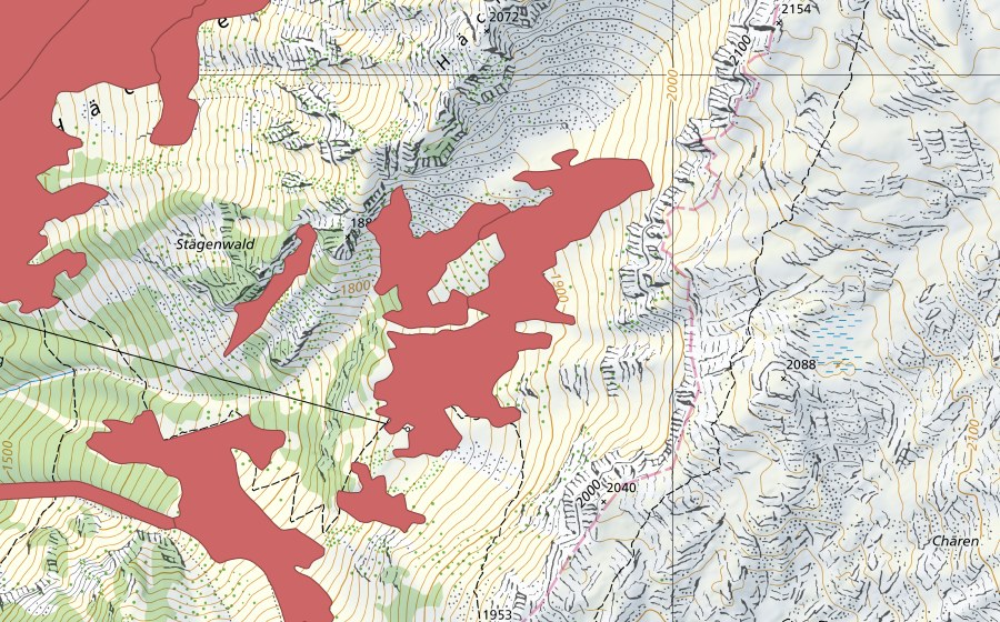 swisstopo national map showing the protected perimeter of Bärenboden (Dry meadow)