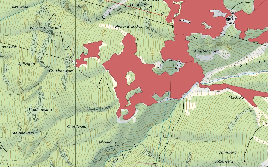 Landeskarte swisstopo mit dem Schutzperimeter von Bärenboden (Trockenwiese)