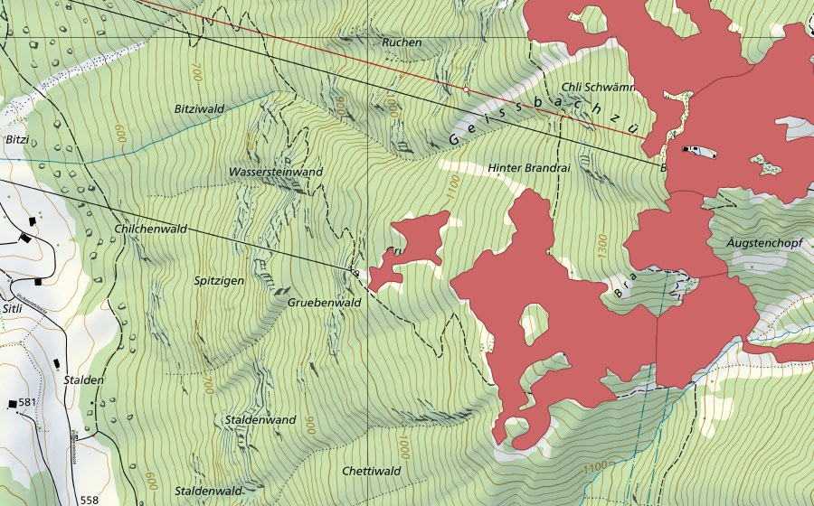 Carte nationale swisstopo avec le périmètre protégé de Bärenboden (Prairie sèche)