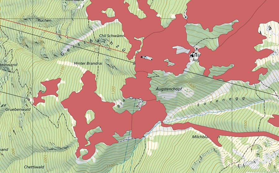 swisstopo national map showing the protected perimeter of Bärenboden (Dry meadow)