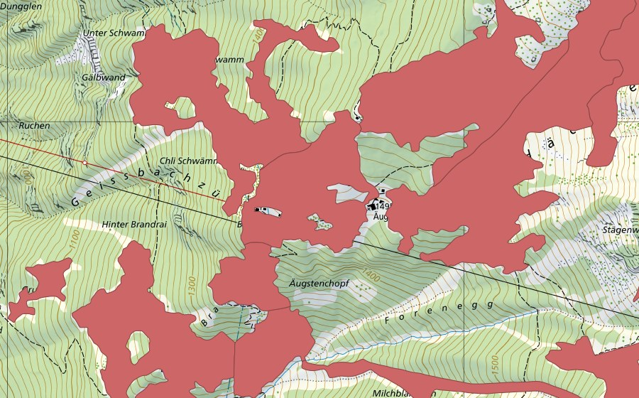 Carte nationale swisstopo avec le périmètre protégé de Bärenboden (Prairie sèche)