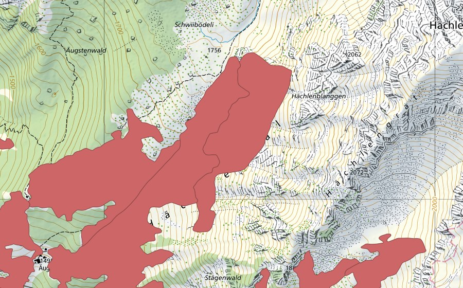 swisstopo national map showing the protected perimeter of Bärenboden (Dry meadow)