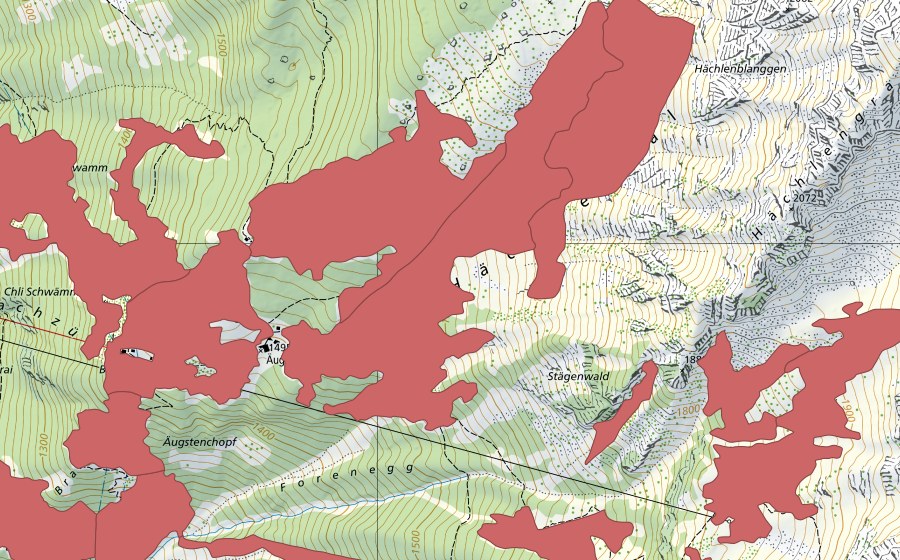 Carte nationale swisstopo avec le périmètre protégé de Bärenboden (Prairie sèche)