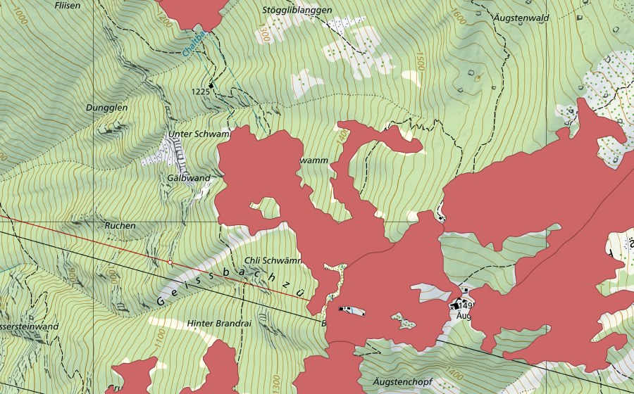 Landeskarte swisstopo mit dem Schutzperimeter von Bärenboden (Trockenwiese)