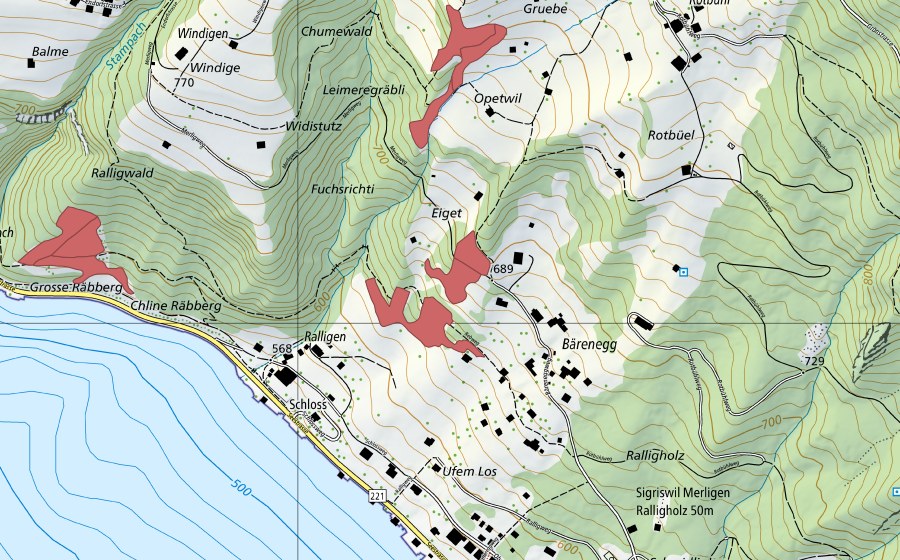 Carte nationale swisstopo avec le périmètre protégé de Bärenegg (Prairie sèche)