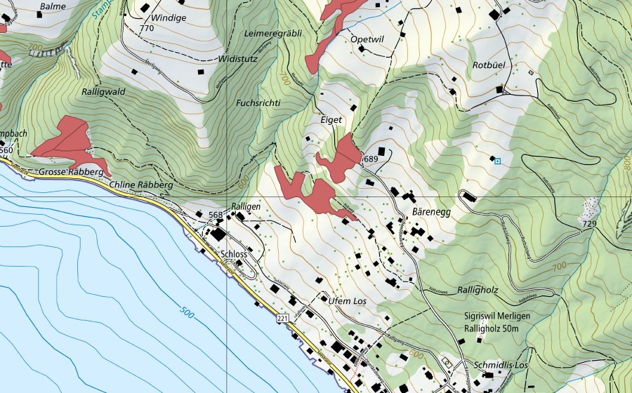 swisstopo national map showing the protected perimeter of Bärenegg (Dry meadow)