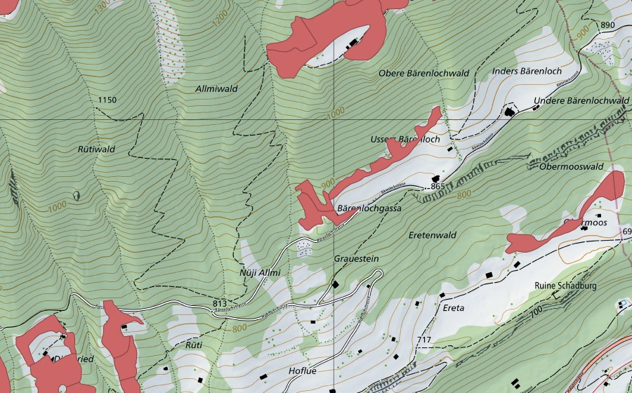 swisstopo national map showing the protected perimeter of Bärenloch (Dry meadow)
