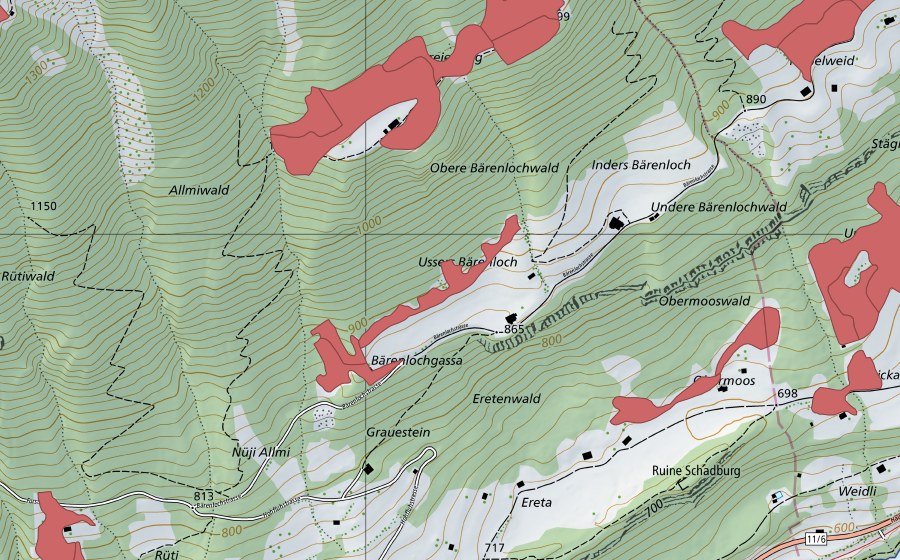 Landeskarte swisstopo mit dem Schutzperimeter von Bärenloch (Trockenwiese)