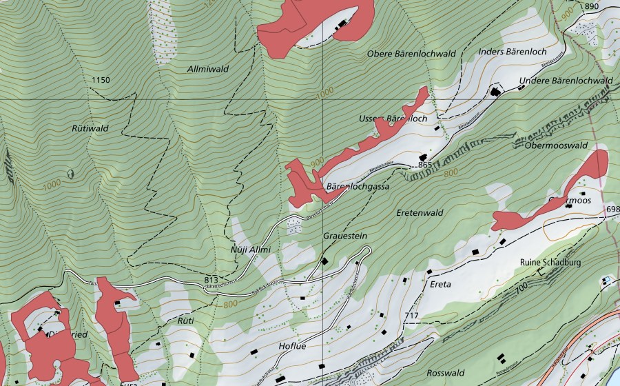 swisstopo national map showing the protected perimeter of Bärenloch (Dry meadow)