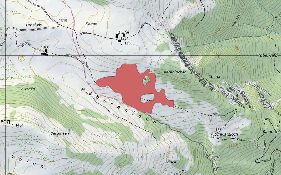 swisstopo national map showing the protected perimeter of Bärenlöcher (Dry meadow)
