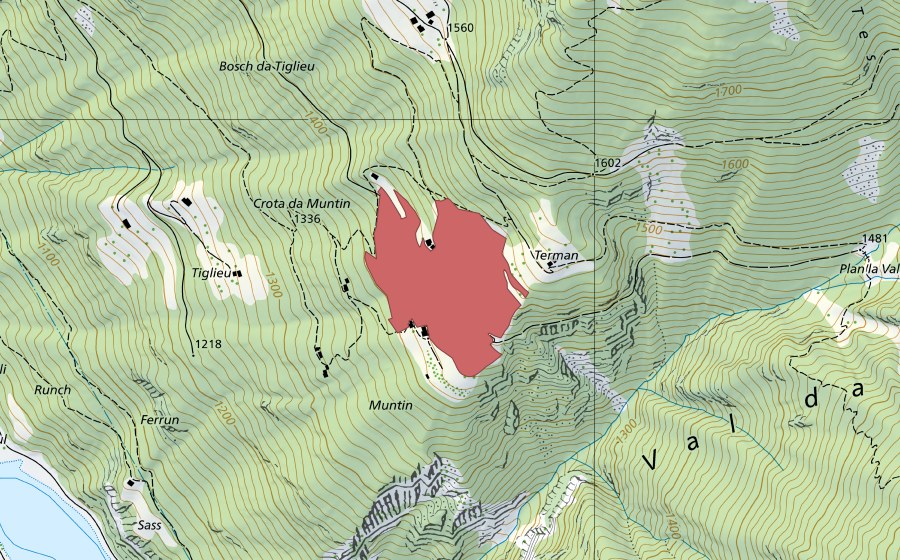 swisstopo national map showing the protected perimeter of Barghi (Dry meadow)