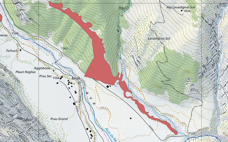 Landeskarte swisstopo mit dem Schutzperimeter von Bargis (Trockenwiese)