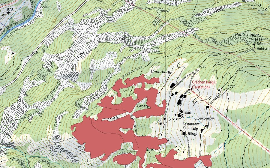 Carte nationale swisstopo avec le périmètre protégé de Bärgji (Prairie sèche)