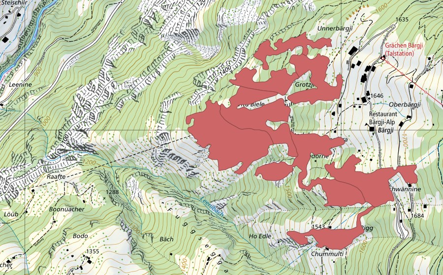 Carte nationale swisstopo avec le périmètre protégé de Bärgji (Prairie sèche)