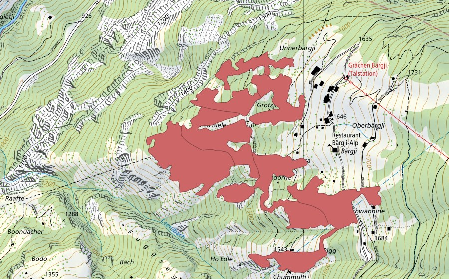 Carte nationale swisstopo avec le périmètre protégé de Bärgji (Prairie sèche)