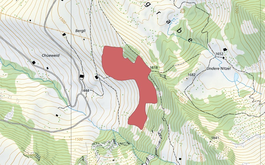 Carte nationale swisstopo avec le périmètre protégé de Bärgli (Prairie sèche)