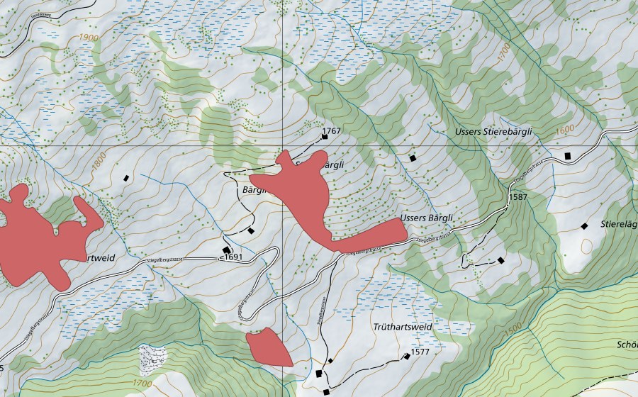 Carte nationale swisstopo avec le périmètre protégé de Bärgli (Prairie sèche)