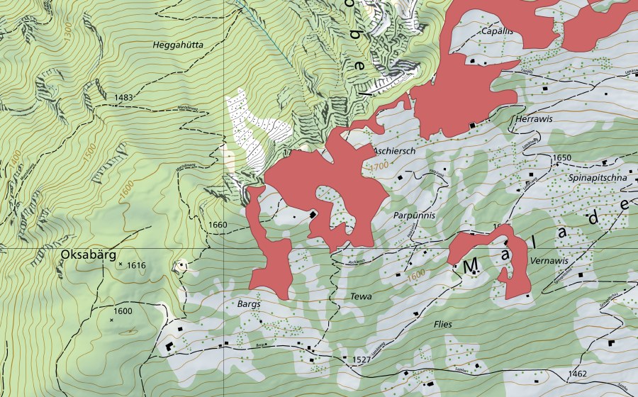 Landeskarte swisstopo mit dem Schutzperimeter von Bargs (Trockenwiese)