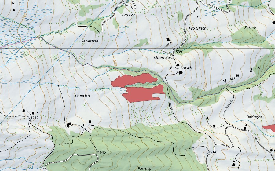 Landeskarte swisstopo mit dem Schutzperimeter von Baria Fritsch (Trockenwiese)