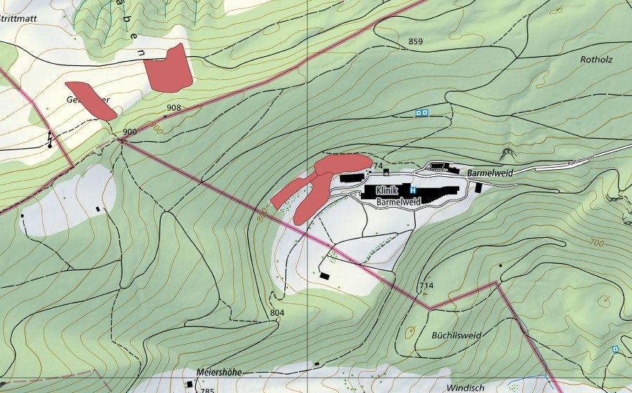 swisstopo national map showing the protected perimeter of Barmelweid (Dry meadow)