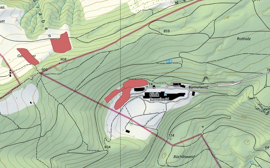 swisstopo national map showing the protected perimeter of Barmelweid (Dry meadow)