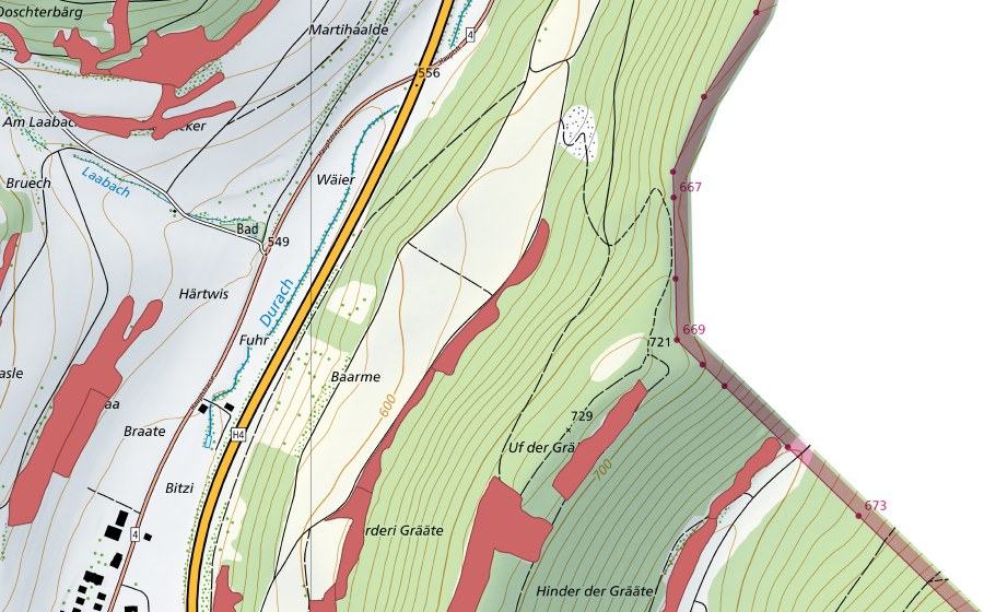 Landeskarte swisstopo mit dem Schutzperimeter von Barmen (Trockenwiese)