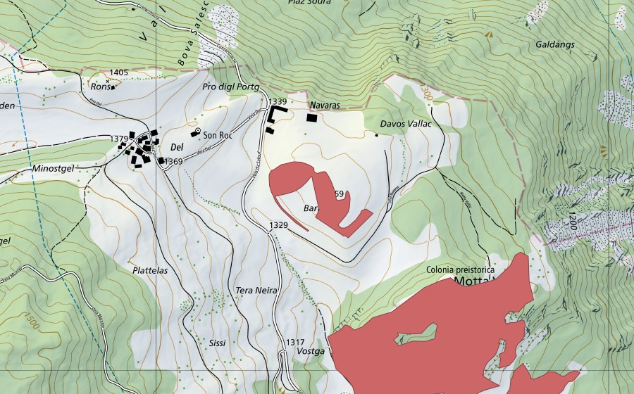 swisstopo national map showing the protected perimeter of Barnols (Dry meadow)