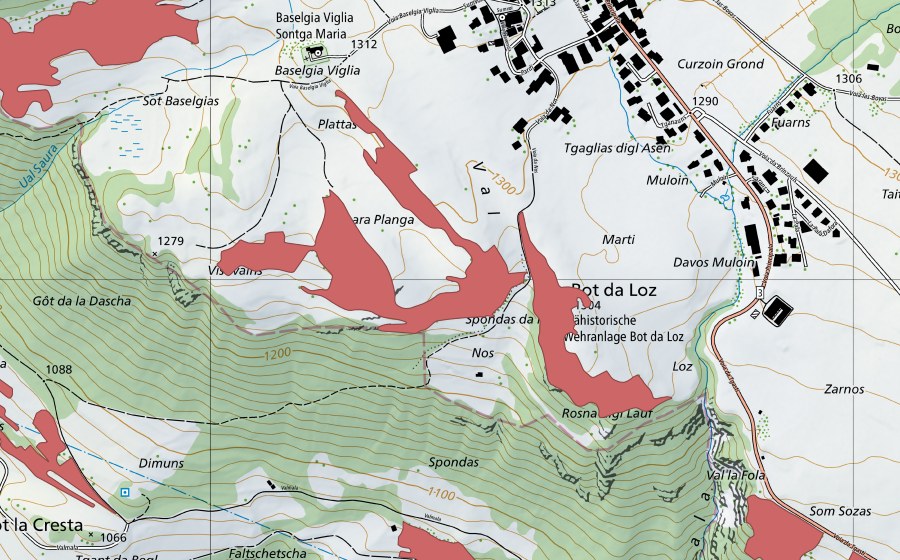Landeskarte swisstopo mit dem Schutzperimeter von Baselgia Viglia (Trockenwiese)