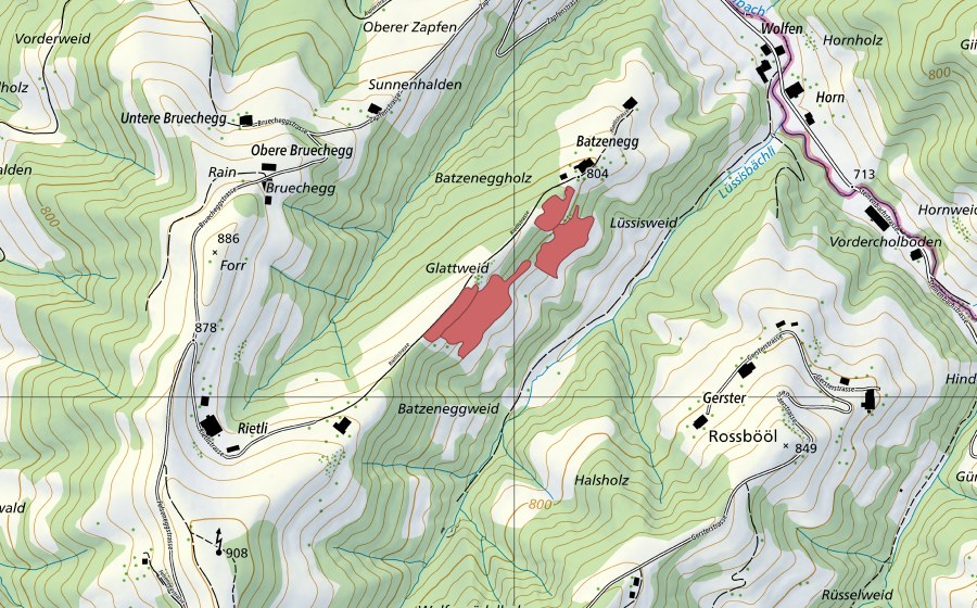 Landeskarte swisstopo mit dem Schutzperimeter von Batzenegg (Trockenwiese)