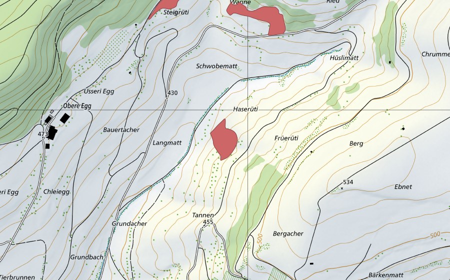 swisstopo national map showing the protected perimeter of Bauertacher (Dry meadow)