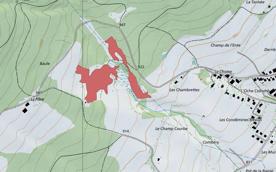 Carte nationale swisstopo avec le périmètre protégé de Baule (Prairie sèche)