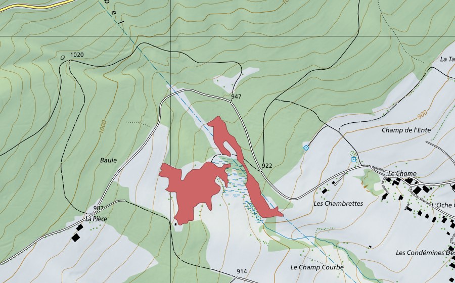 Landeskarte swisstopo mit dem Schutzperimeter von Baule (Trockenwiese)