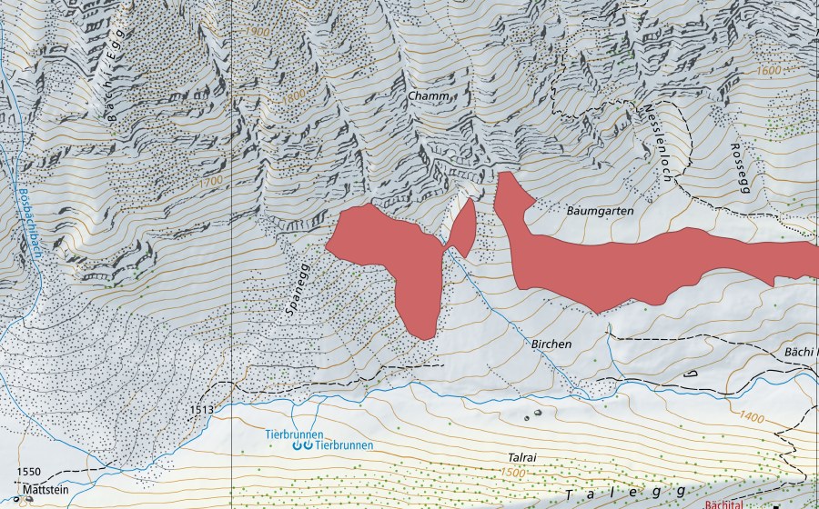Landeskarte swisstopo mit dem Schutzperimeter von Baumgarten (Trockenwiese)