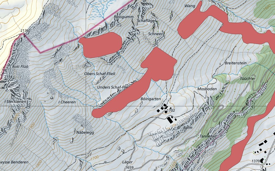 Landeskarte swisstopo mit dem Schutzperimeter von Baumgarten (Trockenwiese)