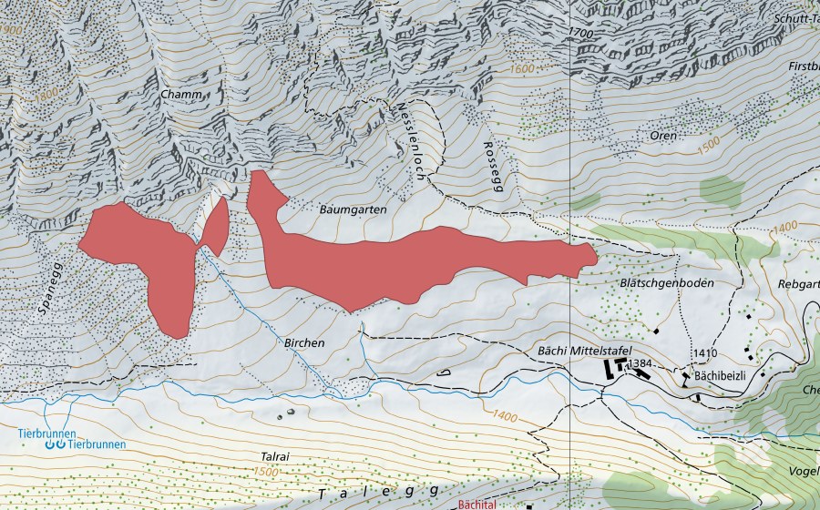 swisstopo national map showing the protected perimeter of Baumgarten (Dry meadow)