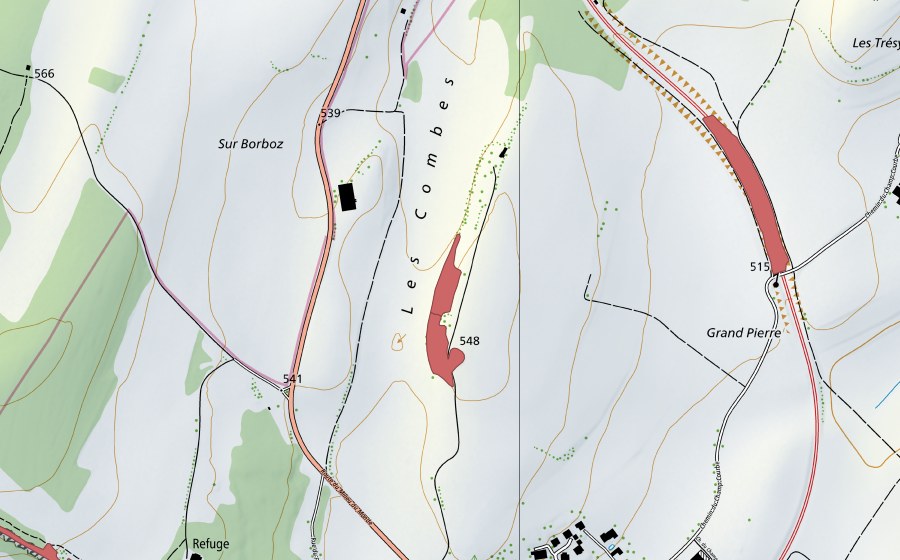 Landeskarte swisstopo mit dem Schutzperimeter von Beauregard (Trockenwiese)