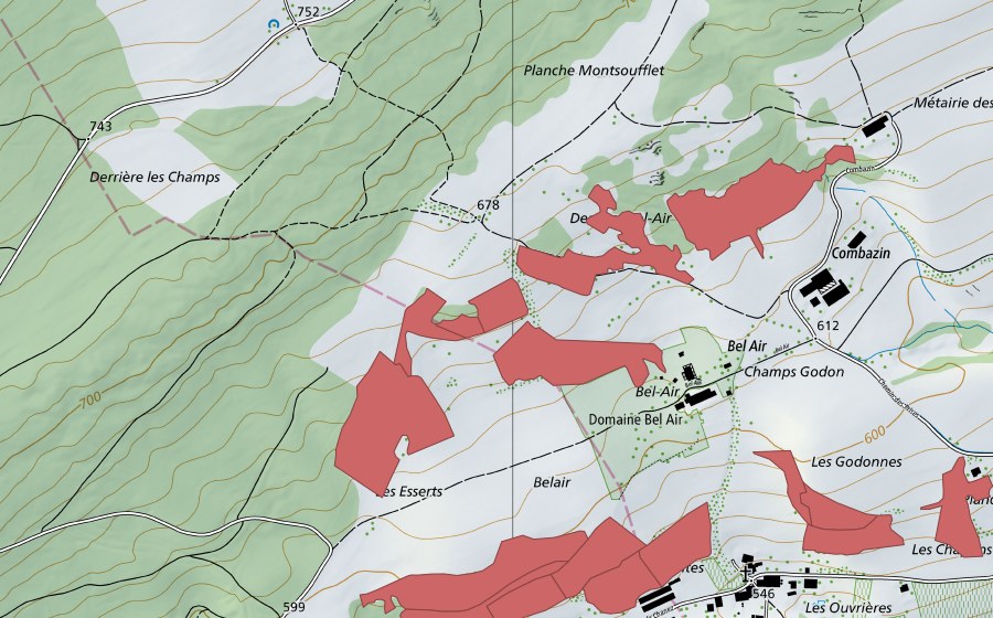 Landeskarte swisstopo mit dem Schutzperimeter von Bel Air (Trockenwiese)