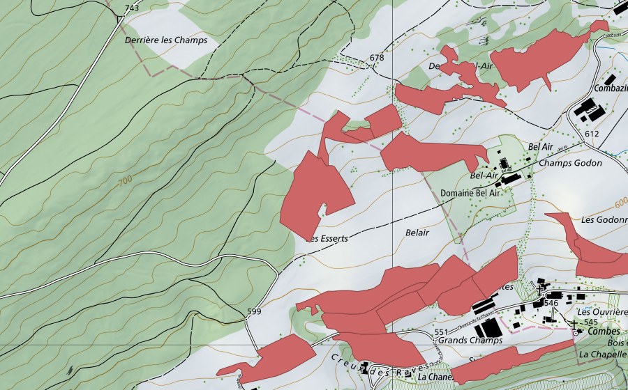 Landeskarte swisstopo mit dem Schutzperimeter von Bel Air (Trockenwiese)