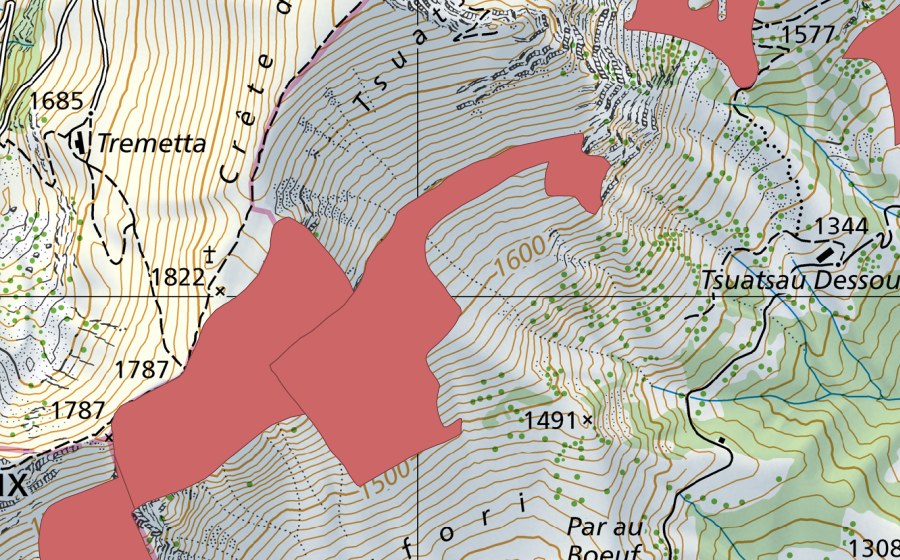 Landeskarte swisstopo mit dem Schutzperimeter von Belles Raies (Trockenwiese)