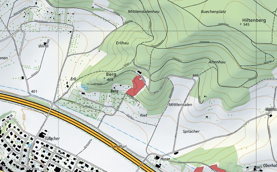 swisstopo national map showing the protected perimeter of Berg (Dry meadow)