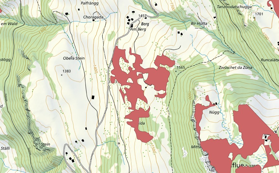 swisstopo national map showing the protected perimeter of Berg (Dry meadow)