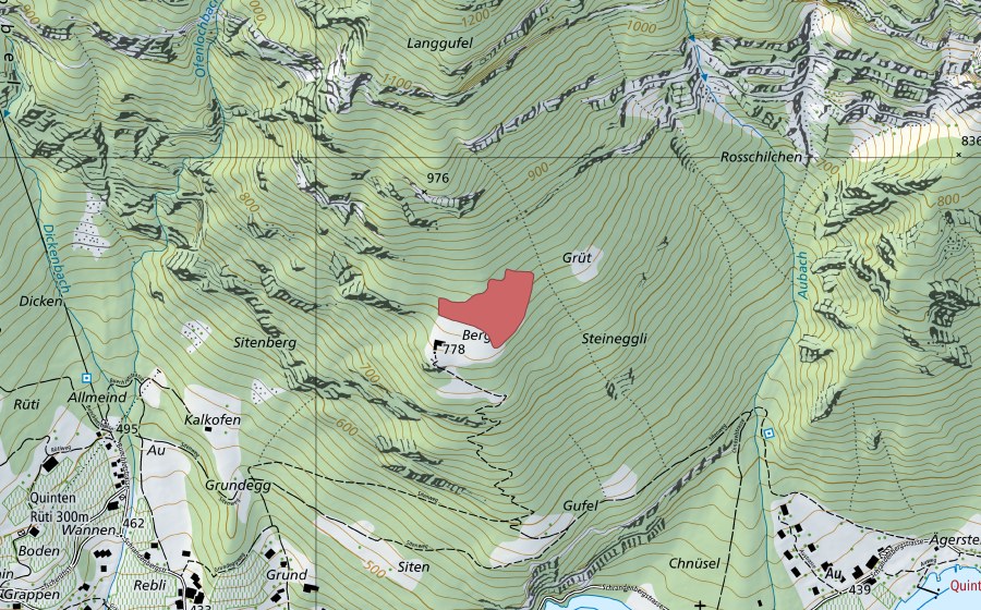 Landeskarte swisstopo mit dem Schutzperimeter von Berg (Trockenwiese)